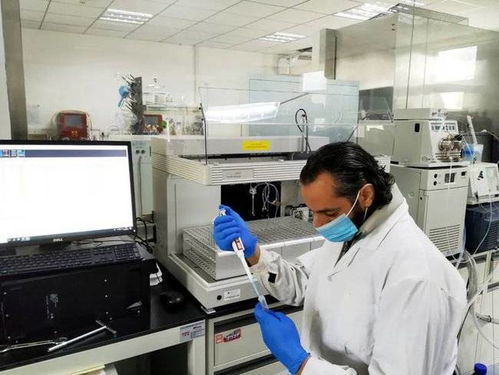 专业解码 北京工商大学食品与健康学院概览与投资咨询服务洞察